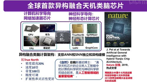 從類腦計(jì)算到機(jī)器學(xué)習(xí) 四大知名AI教授線上分享干貨，引領(lǐng)計(jì)算機(jī)軟硬件開(kāi)發(fā)新趨勢(shì)